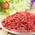 Fruta seca ecológica Ningxia Goji Berry